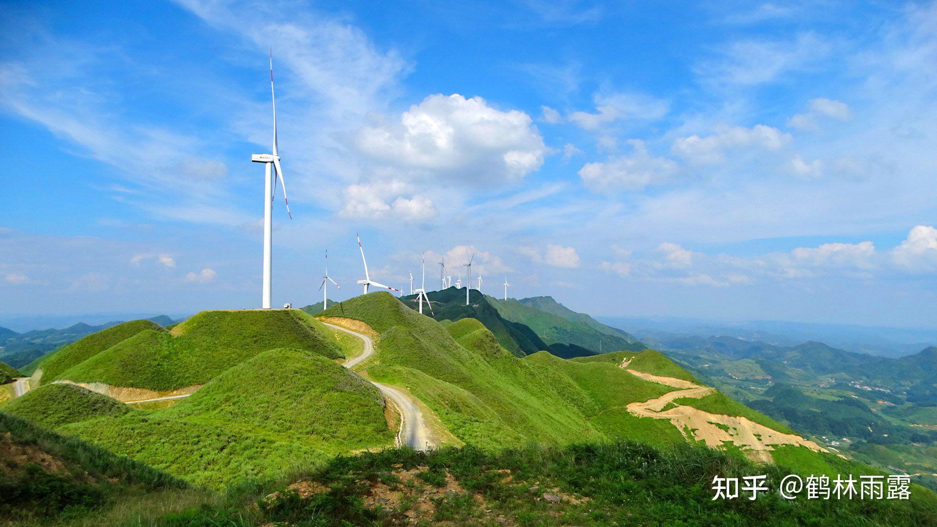 貴州省金沙縣巖孔鎮,綠峰樑子漫山遍野上萬畝的玉簪花開放在即,這