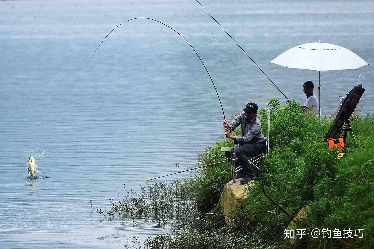 4月份钓鲤鱼,一天换4次钓点,全天不停口 - 知乎