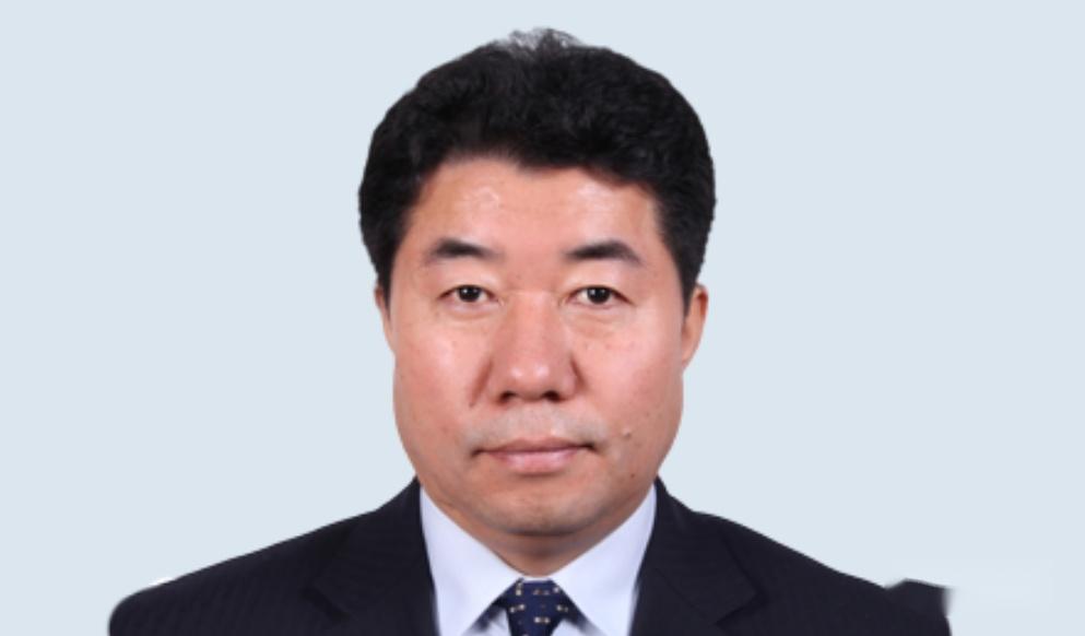 张国厚,男,1962年11月生,现任中央企业专职外部董事,中国宝武,中国