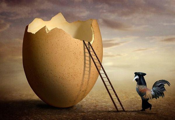 先有鸡还是先有蛋正确答案