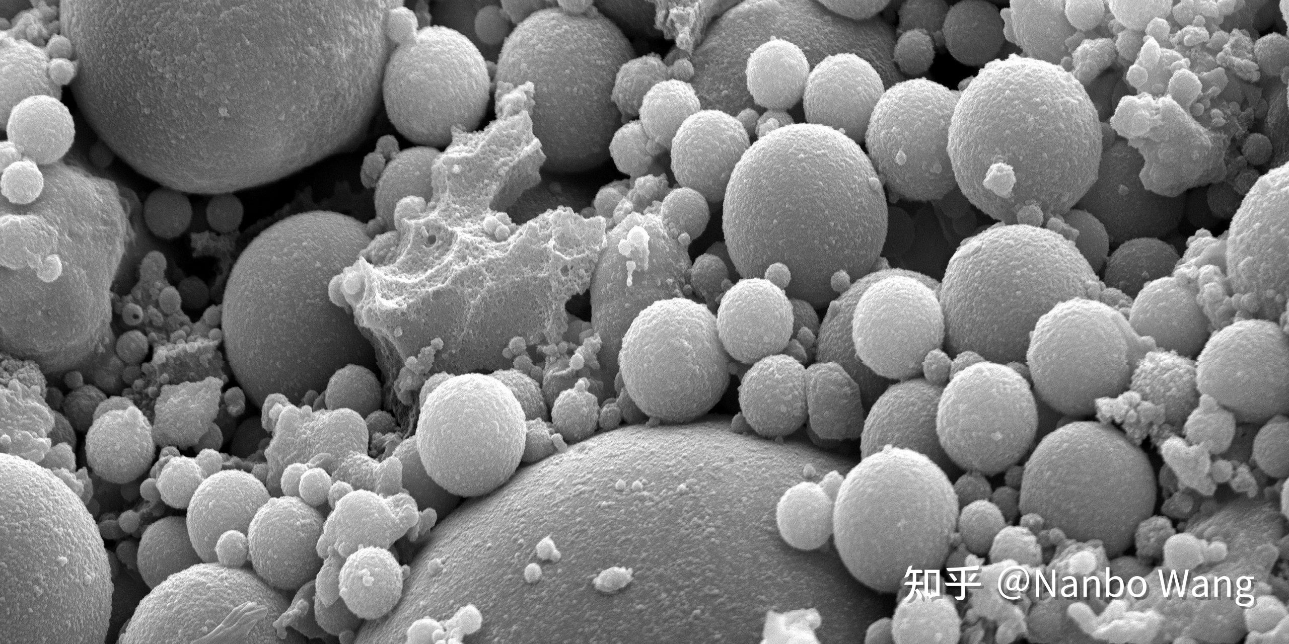 水泥辅助性凝胶材料（Supplementary Cementitious Materials - SCMs） - 知乎