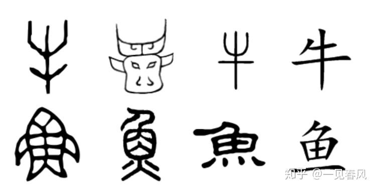 牛和鱼两个字弄反了你真的了解汉字吗