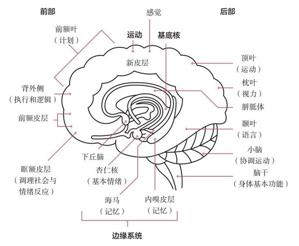 "我们通常以为人(区别其他物种)的首要特征是智商, 但是真正的首要特征是