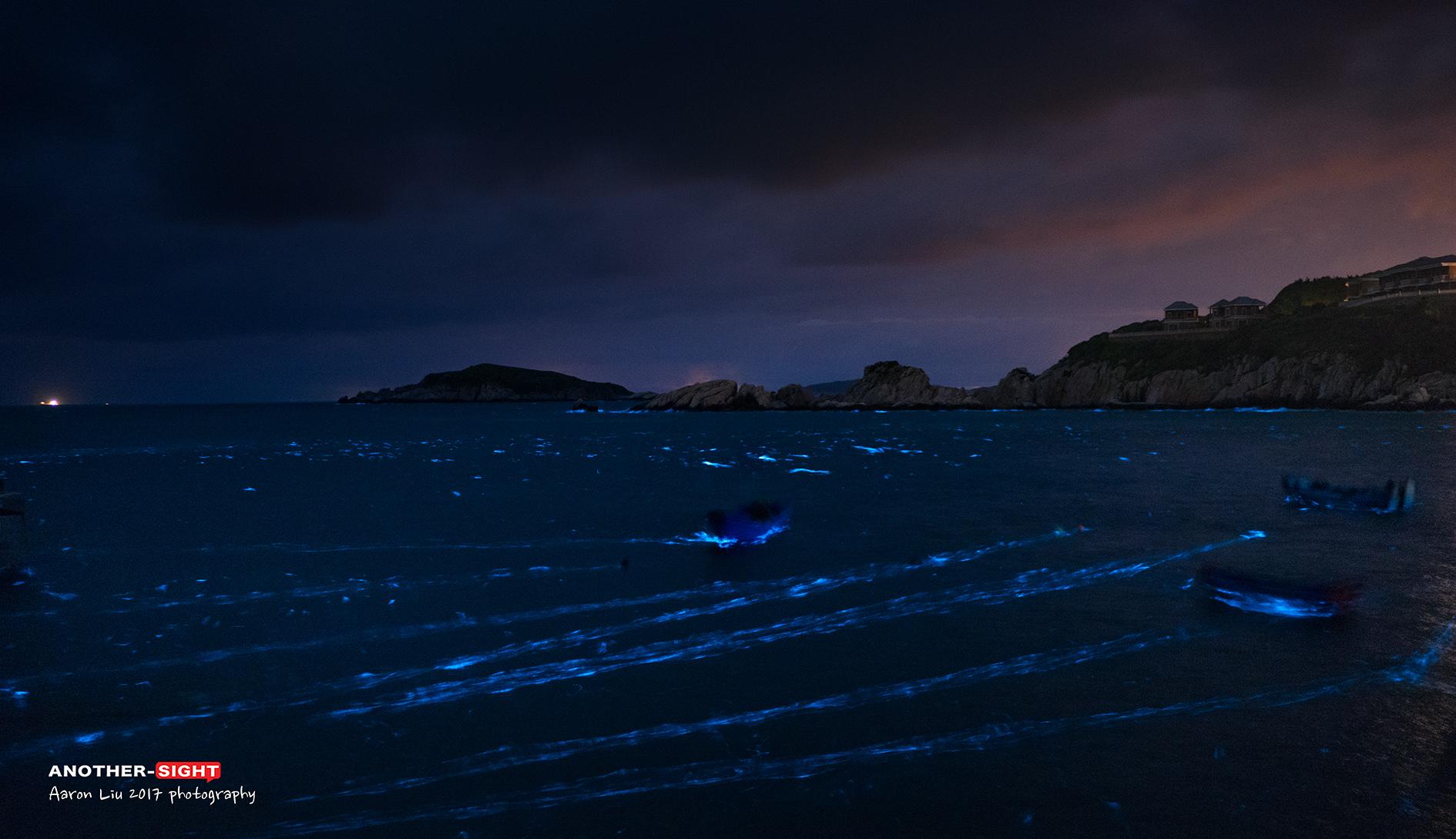 东海有座小岛,很少有人知道,它叫花鸟岛