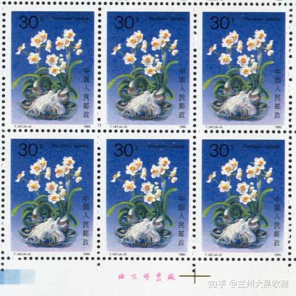 t147水仙(水仙花)邮票