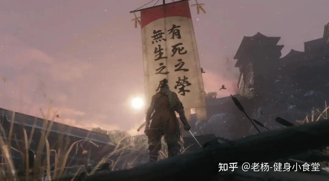 天天死天天死,《只狼》好玩在哪? - 知乎