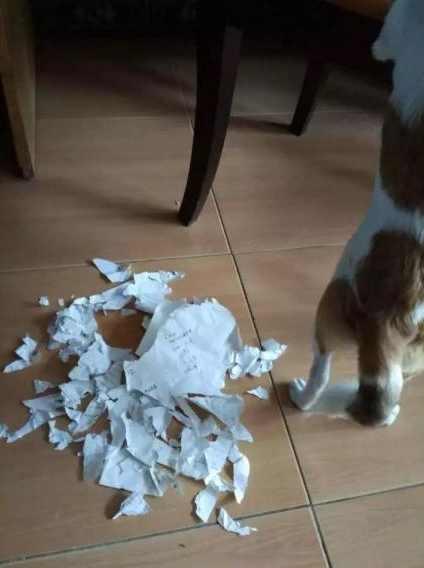 长假结束面对这些作业老师差点疯了