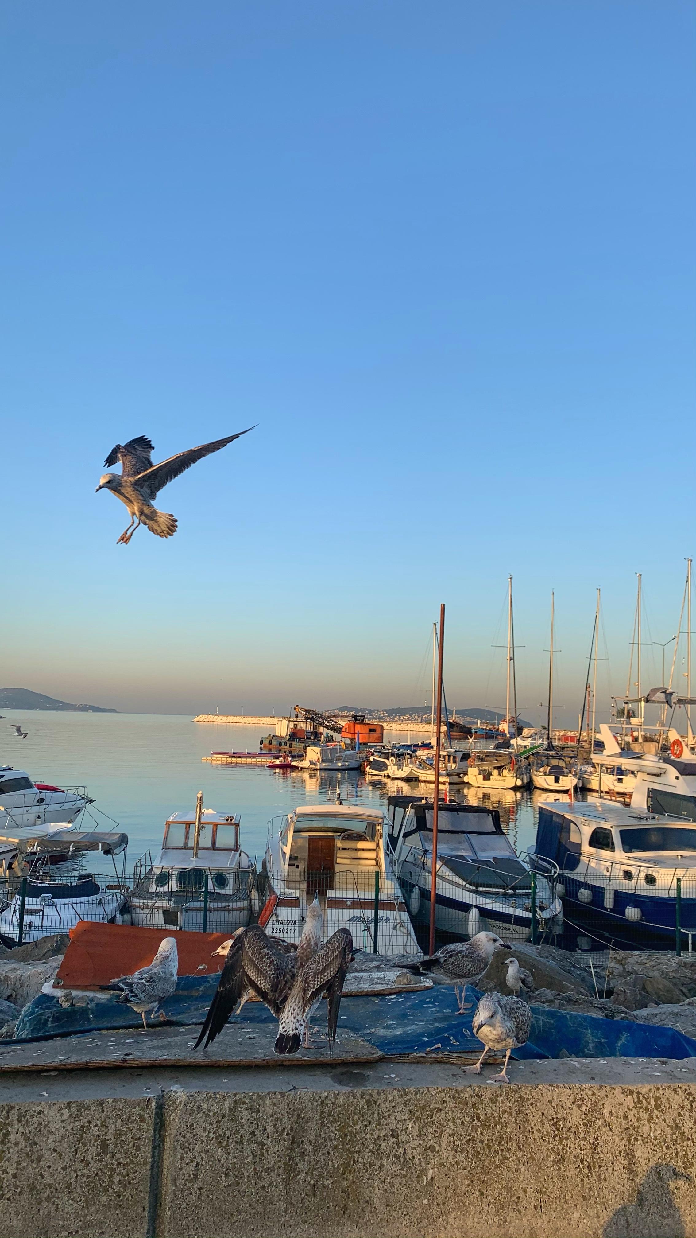 探访土耳其王子岛 - 知乎