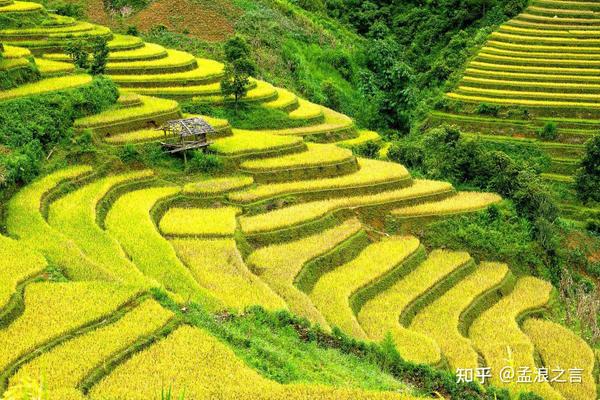 中国人的智慧:除了梯田,还有这些田在造福我们 - 知乎