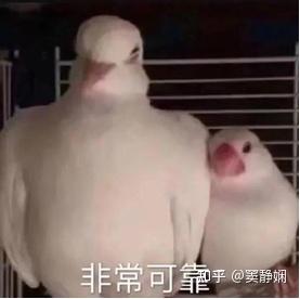【央视认证】把安全感藏进日常出行!