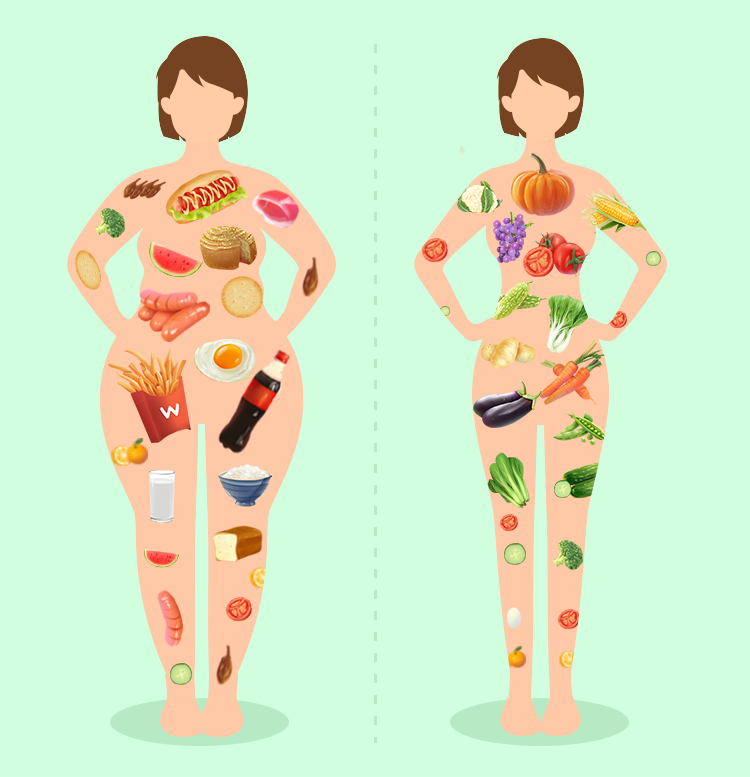 膳食模式和膳食结构区别 v2-e73942f6016fe4e96df838c0bb7fae3b_1440w.jpg?source=172ae18b