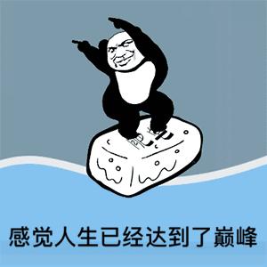 动图封面