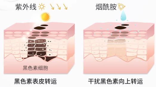 户外暴晒后怎样做晒后修复?皮肤科医生教你【专业晒后修复】步骤!拒绝晒黑、晒红、晒伤! - 知乎