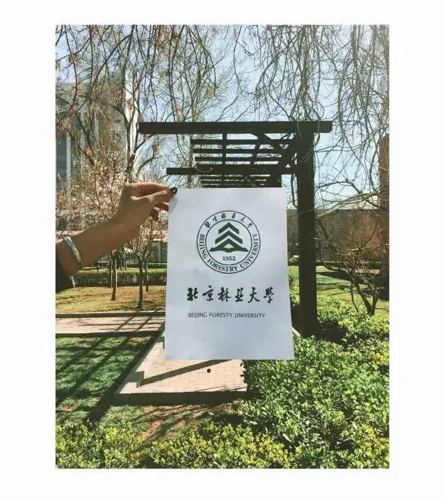 学校办学历史可追溯至1902年的京师大学堂农业科林学目.