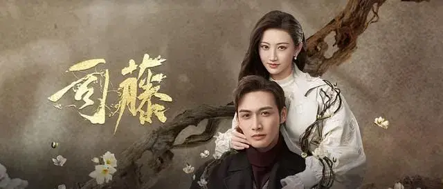 司藤中的这些法律知识你看出来了吗