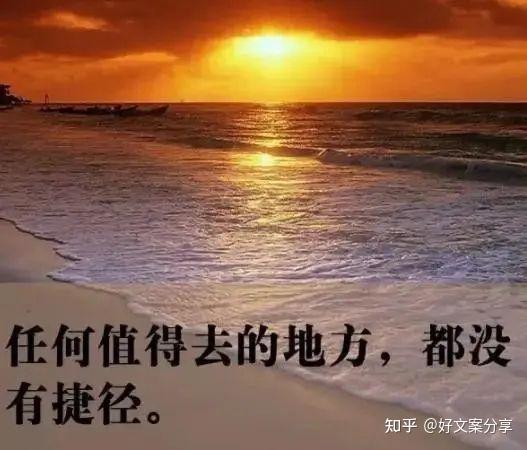 锅炉安装