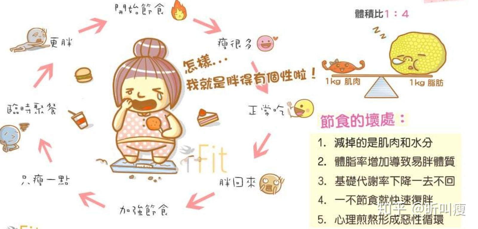 怎么减肥效果好 知乎