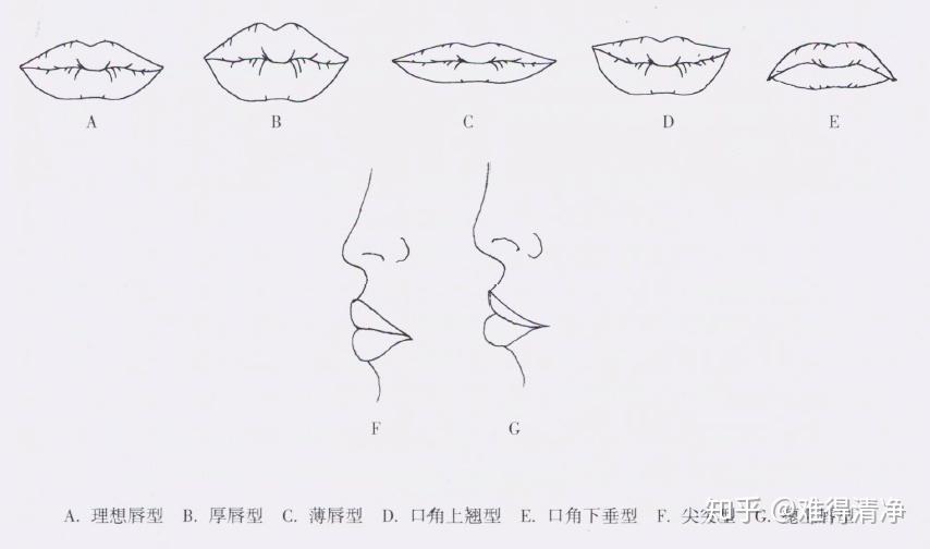 嘴唇形有哪几种？什么样的唇形好看？ - 知乎