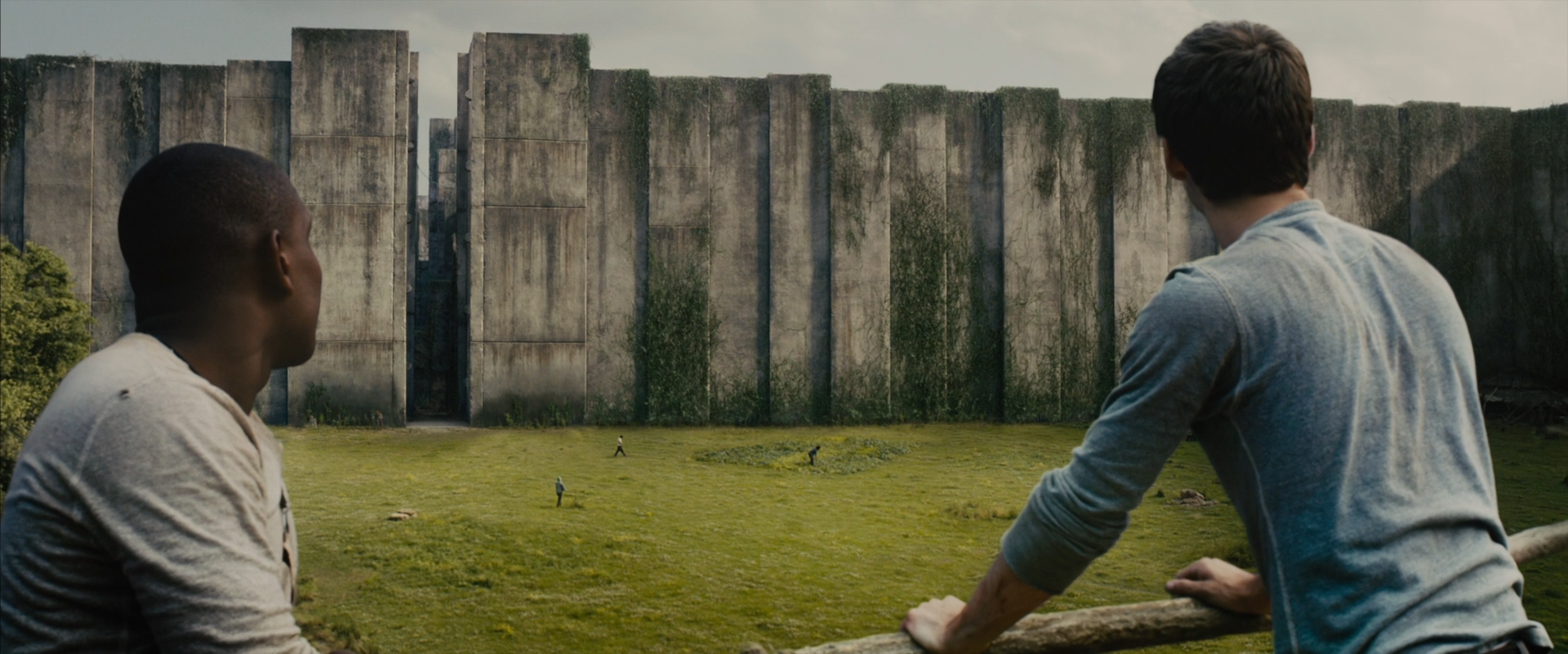 电影《移动迷宫 1》观后感简记