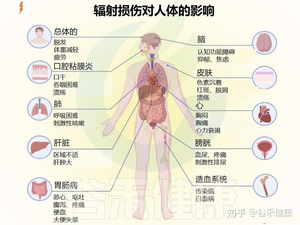 辐射对人体的危害身体图片