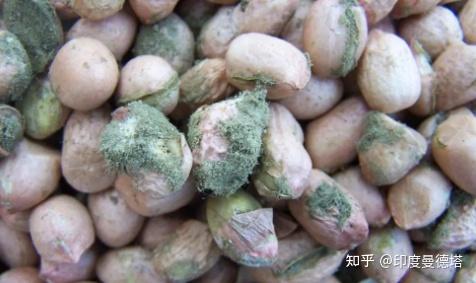 自榨花生油零添加无公害表面宣称天然健康实则可能伤肝又致癌