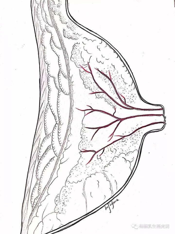 卢博士谈母乳乳腺炎就断奶你是不是那个傻妈妈
