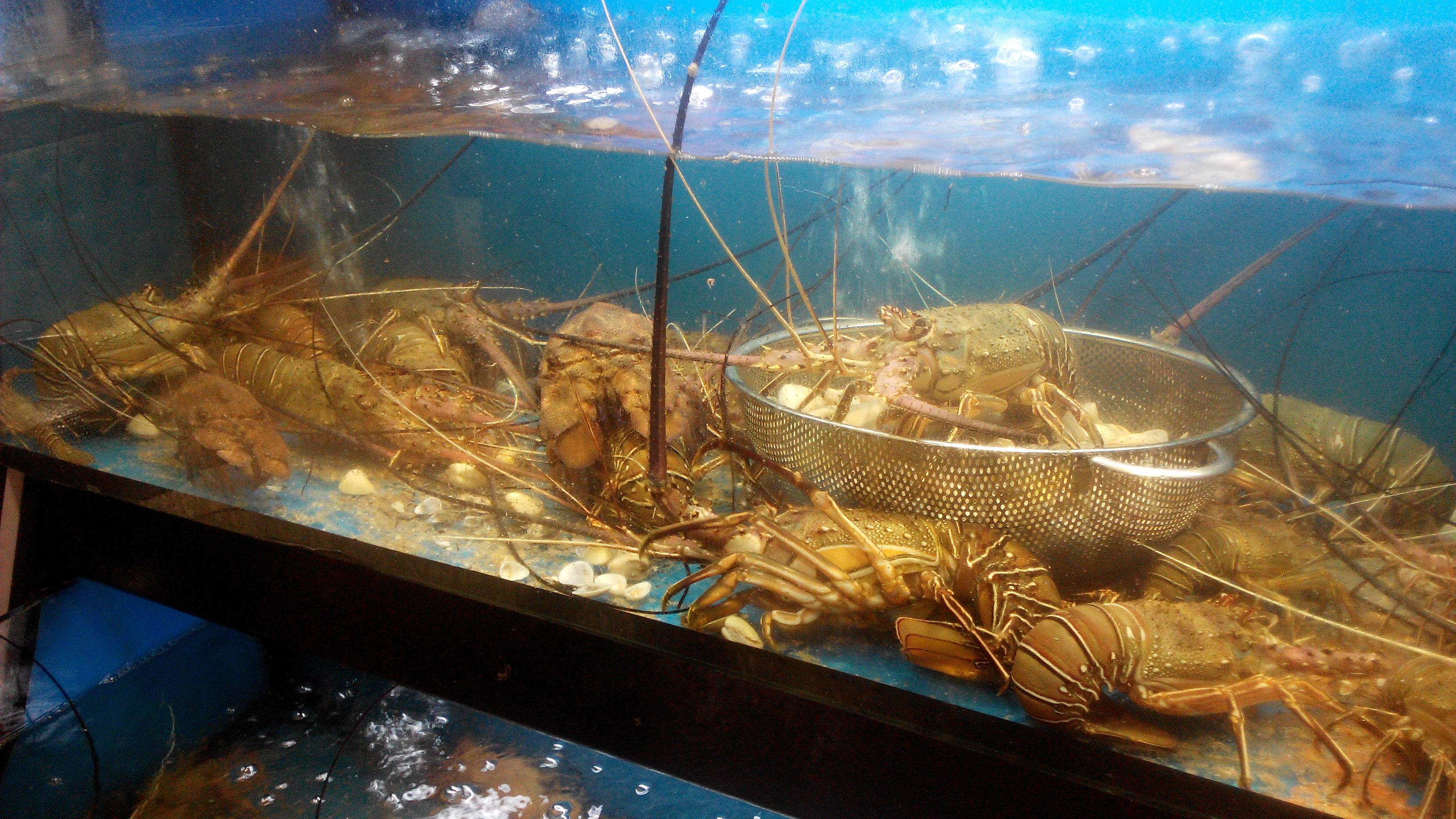 【求助】外派去非洲加纳工作安全吗?需要准备