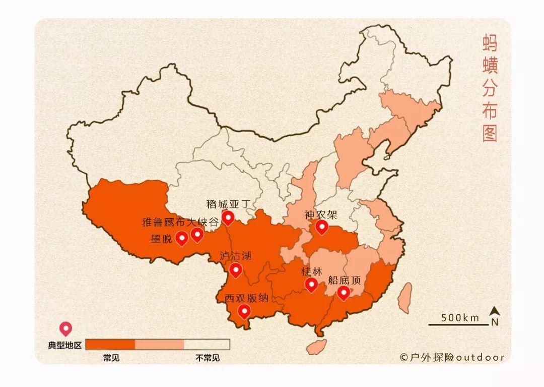 螞蟥在我國分佈很廣:在潮溼隱蔽的原始森林行進有可能遇到旱螞蟥(山蛭