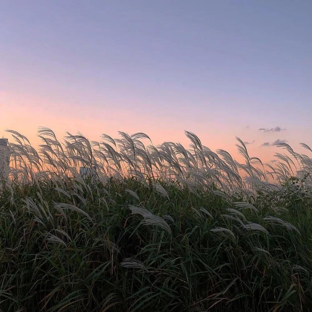 特别有创意的微信聊天背景图 - 知乎