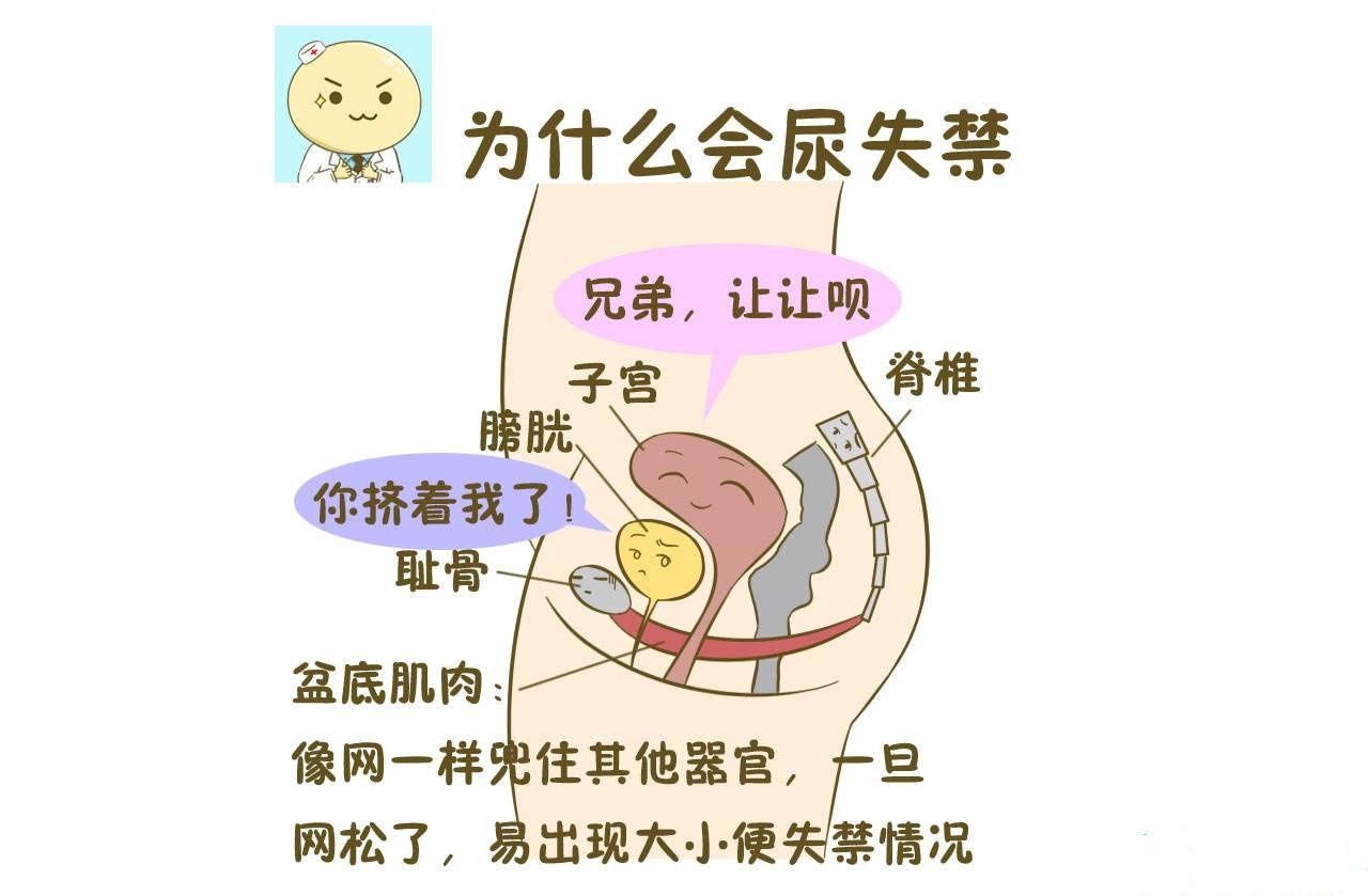 女性哩哩啦啦尿图片