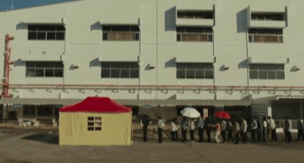 《心犬相随》现象级票房黑马，太好哭了