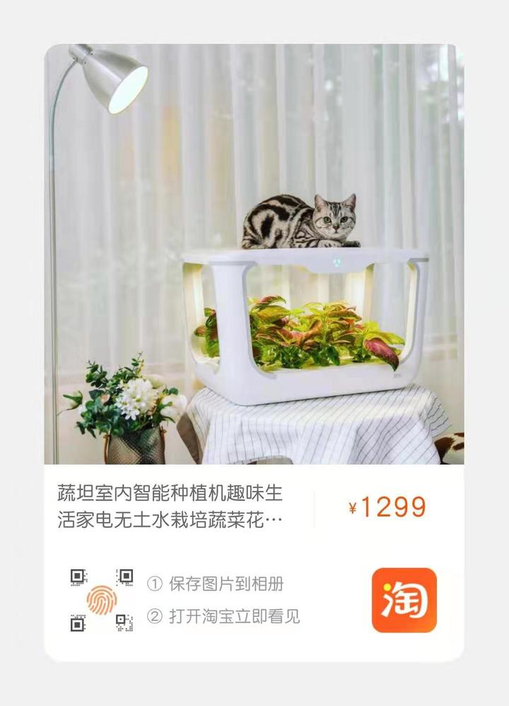 苹果树冬剪早点好还是迟点好 知乎