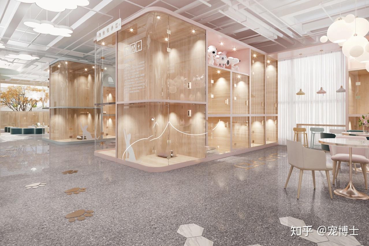 尤其是一些人总是觉得猫咖的猫咪可以随便撸,无论是