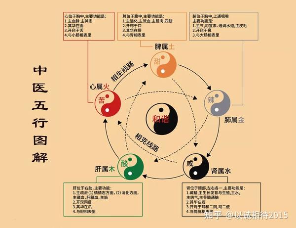 用中医的思维观来理解「五行」! - 知乎