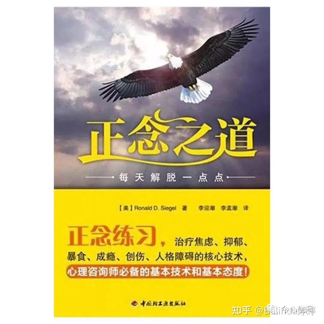 39本精选正念冥想书单，读完自助助人 知乎 7380