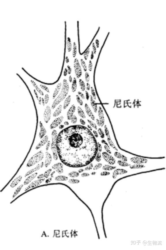 576_865竖版 竖屏