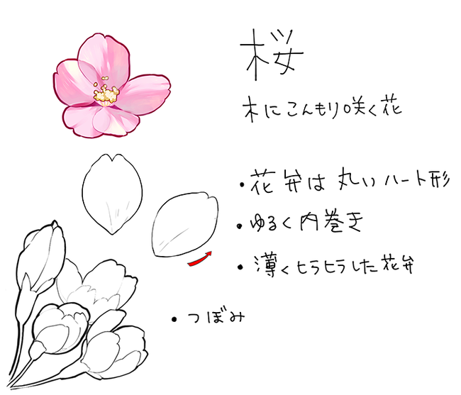 v2-e856f894d41fb41baa5b606990a0a9ff_r.jpg