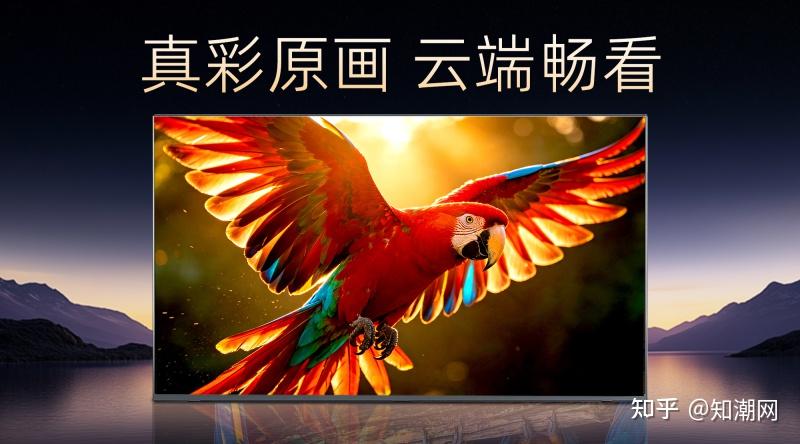 “115生活”多端视频体验迎来重大升级:HDR色彩还原、大文件即拖即播