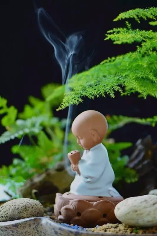 禅意放下你所拥有的追求你所想要的