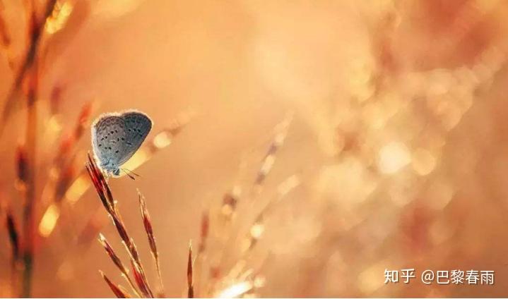 有一种幸福，叫有人惦记 - 知乎