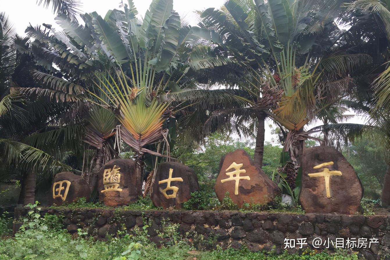 海南省儋州市白马井的特色介绍