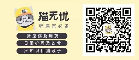猫咪后肢无力瘫痪走路摇晃倒地，偶尔抽搐是怎么回事？ - 知乎