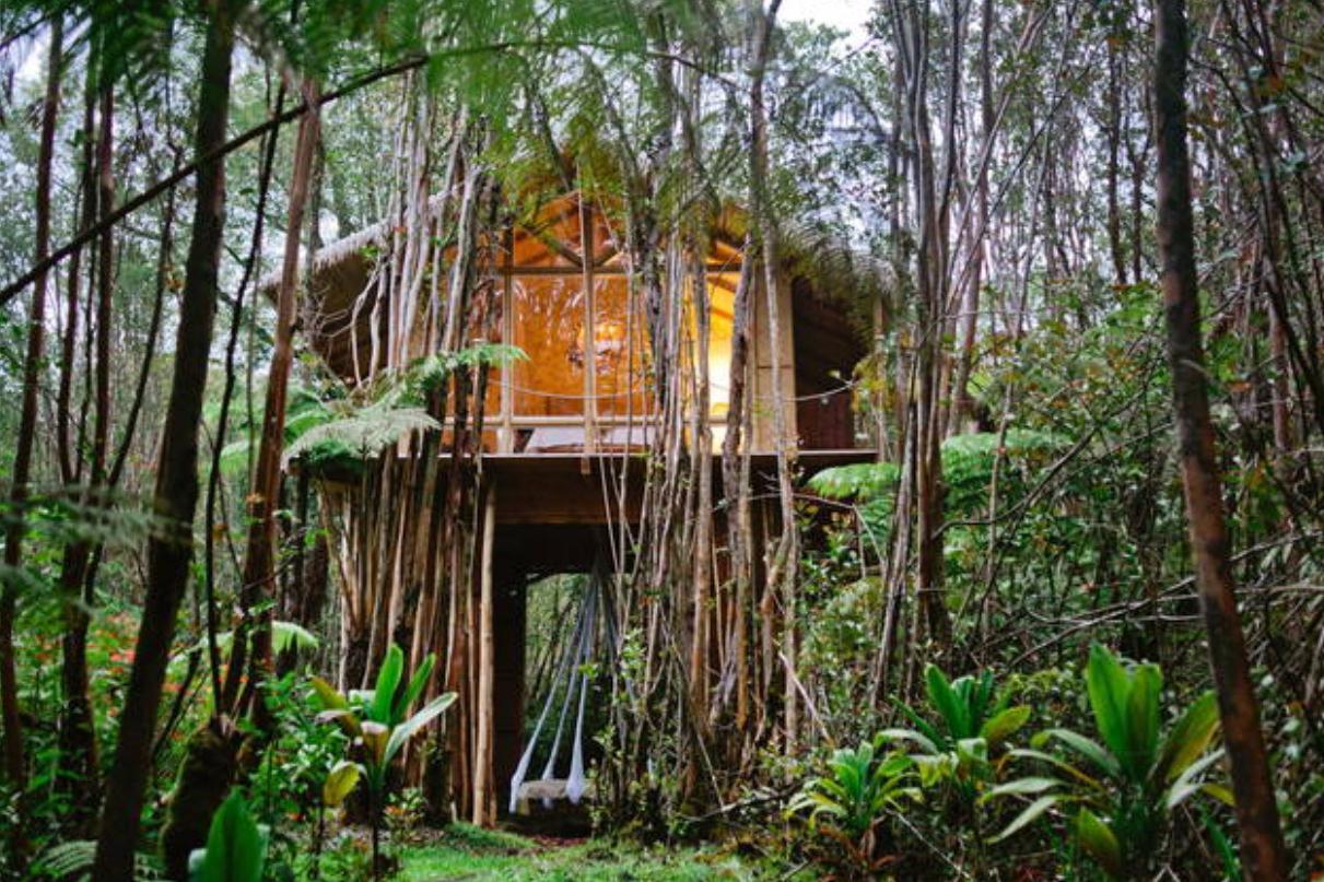 夏威夷树屋
