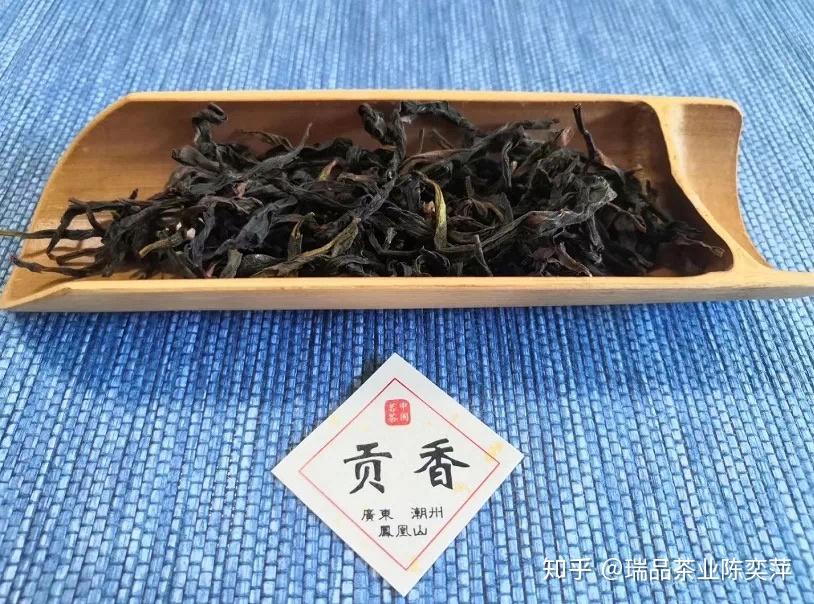 贡香单丛茶中的高冷女神