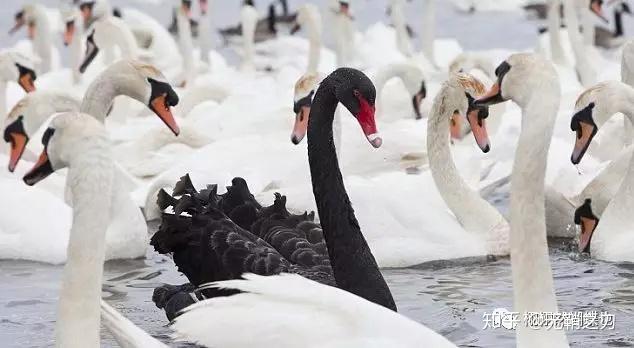 波普尔指出,进步所需要的是一种批评性的结构,在其间,彼此竞争的理论