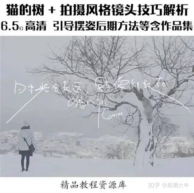 教程猫的树风格镜头技巧解析唯美系清新微电影完整攻略