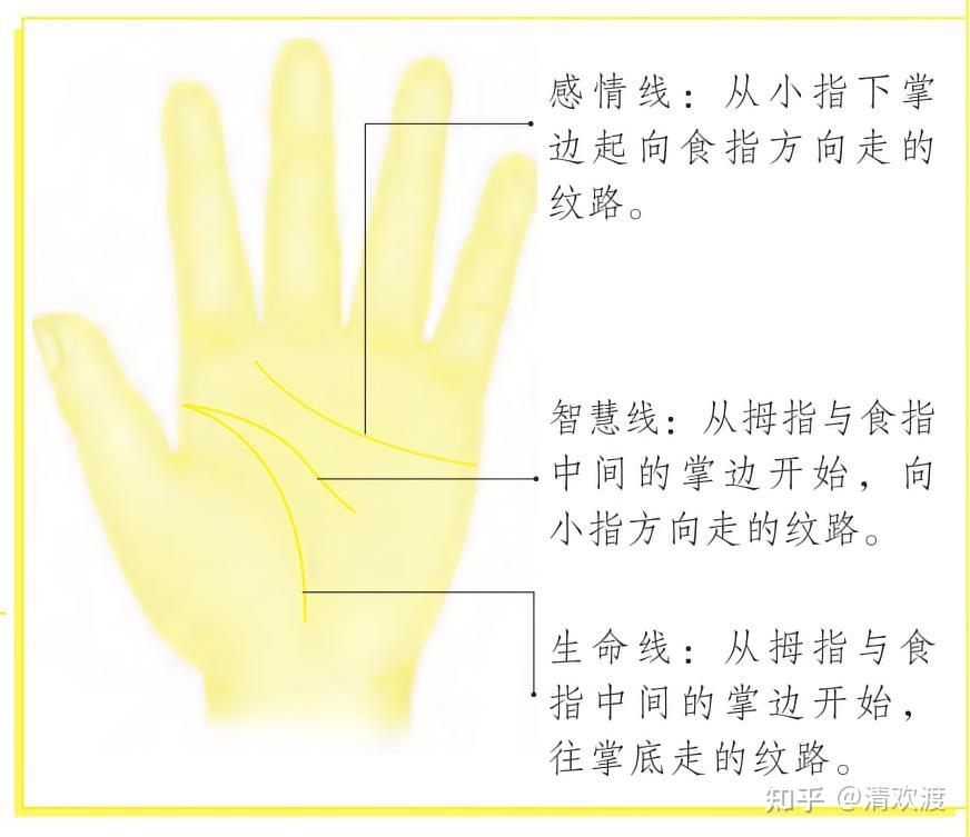 什么是生命线? - 知乎