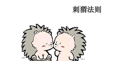 心理咨询师葛畅:"刺猬效应"告诉你,感情究竟如何相处才正确 zhuanlan.