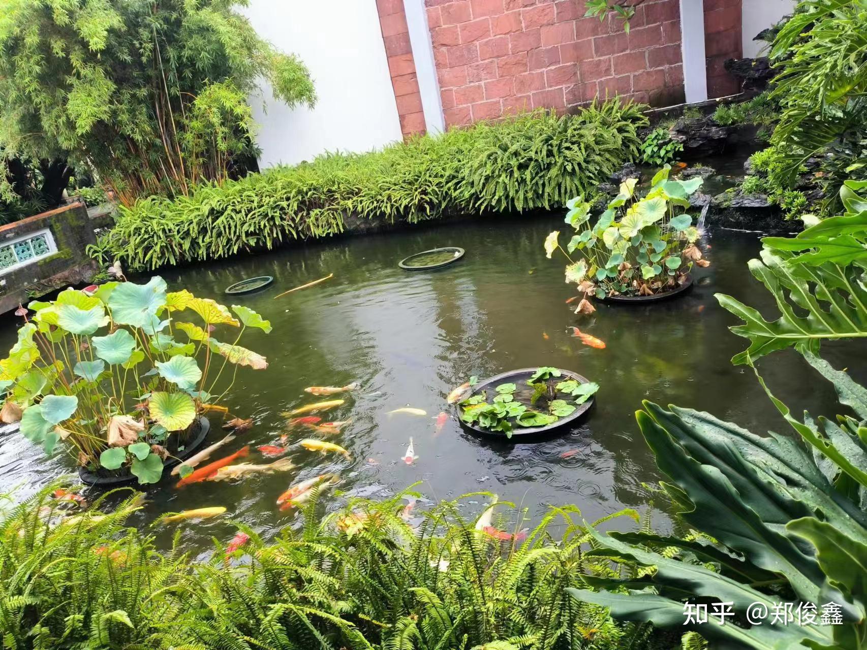 年)清代广东四大名园之一的东莞可园