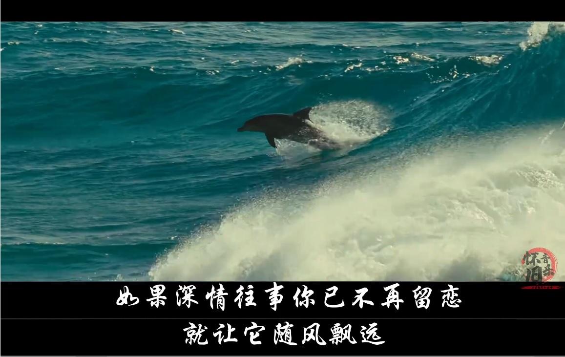 谁能把大象装进冰箱里 政治家能 知乎 谁能把大象装进冰箱里 政治家能 知乎